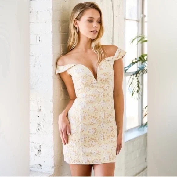 Lulus Mini Dress NWT - Picture 1 of 16